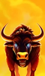 Big Wild Buffalo 2
